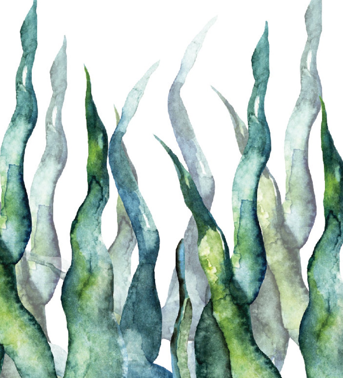 Seaweed Wall Art Nautical Decor Set of Four Seaweed Prints Etsy
