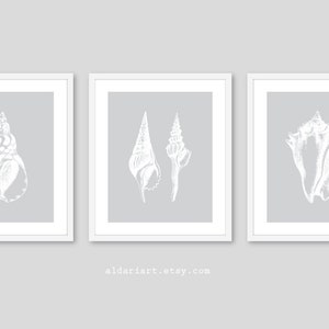 May include: Three framed art prints featuring white seashell illustrations on a light gray background. The seashells are detailed and artistic, set within white frames. The prints are displayed together, creating a cohesive coastal theme.