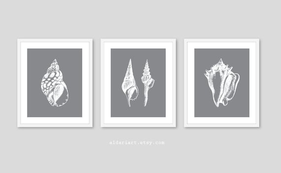 Seashell Art Prints Trio, grey and white, Nautical Home Decor, Coastal Wall Art, seashell wall art set of 3, Beach House Decor, CHOOSE COLOR