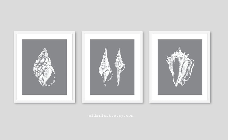 May include: Three framed art prints featuring detailed white seashell illustrations on a gray background. The prints are in white frames. The artwork is a coastal theme, perfect for beach house decor. The website aldariart.etsy.com is printed at the bottom.