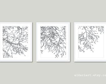 Modern Tree Branches Art Prints - Set of 3 - Modern Nature Wall Art - Slate Grey and White - Contemporary Minimalist Tree Trio Wall Art