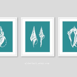 May include: Three framed art prints featuring white seashell illustrations on a teal background. The prints are in white frames and are displayed against a gray background. The website aldariart.etsy.com is printed at the bottom.
