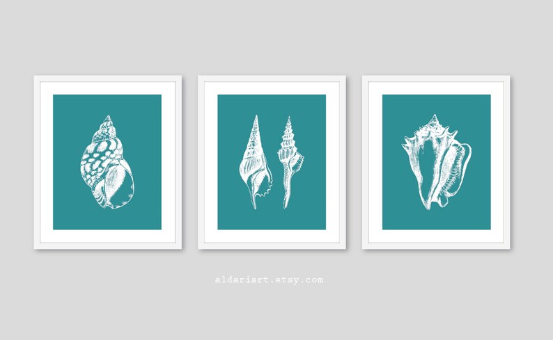 May include: Three framed art prints featuring white seashell illustrations on a teal background. The prints are in white frames and are displayed against a gray background. The website aldariart.etsy.com is printed at the bottom.