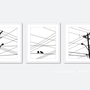 Birds on wires wall art, Urban Power Lines and Birds Digital Print Set - Black and White - Modern Wall Art -  Home Decor