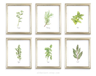 Culinary Herbs Art Prints - Kitchen Herbs Wall Art - Oregano Basil Thyme Art - Modern Rustic Home Decor - Choose From 10 Herbs - Aldari Art
