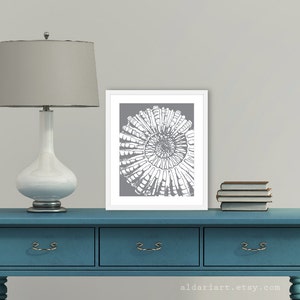 Nautilus Art Print - Nautical Art -  Spiral Fossil Print - Slate Grey - Sea Life - Beach House Decor