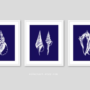 May include: Three framed art prints featuring white seashell illustrations on a deep blue background. The prints are in white frames. The website address aldariart.etsy.com is printed at the bottom of the image.