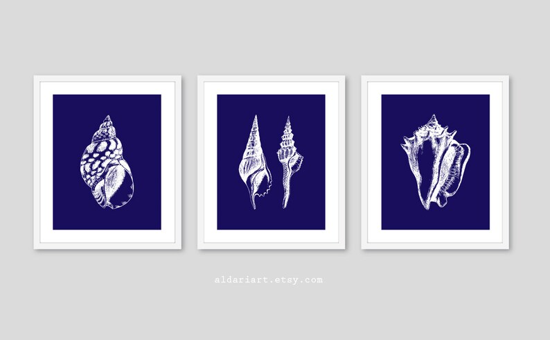 May include: Three framed art prints featuring white seashell illustrations on a deep blue background. The prints are in white frames. The website address aldariart.etsy.com is printed at the bottom of the image.