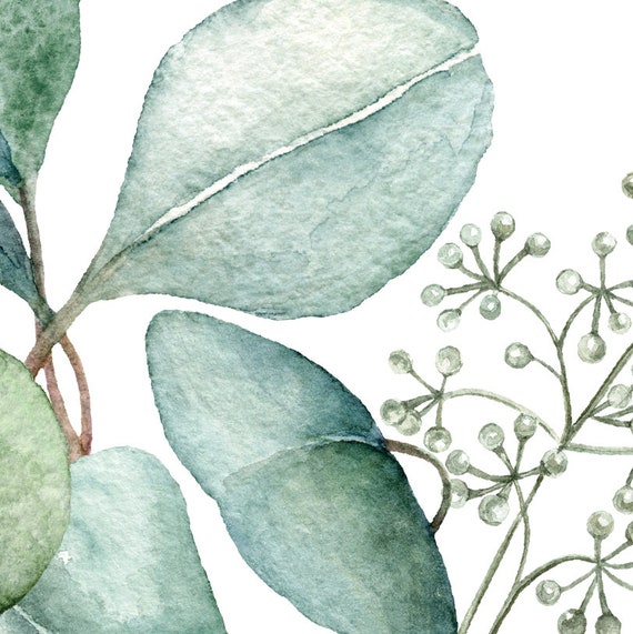 Eucalyptus print Botanische Kunst aan de Muur Moderne Plantenkunst Minimalistische Bladeren Print Moderne Kunst Print Badkamer Kunst aan de Muur