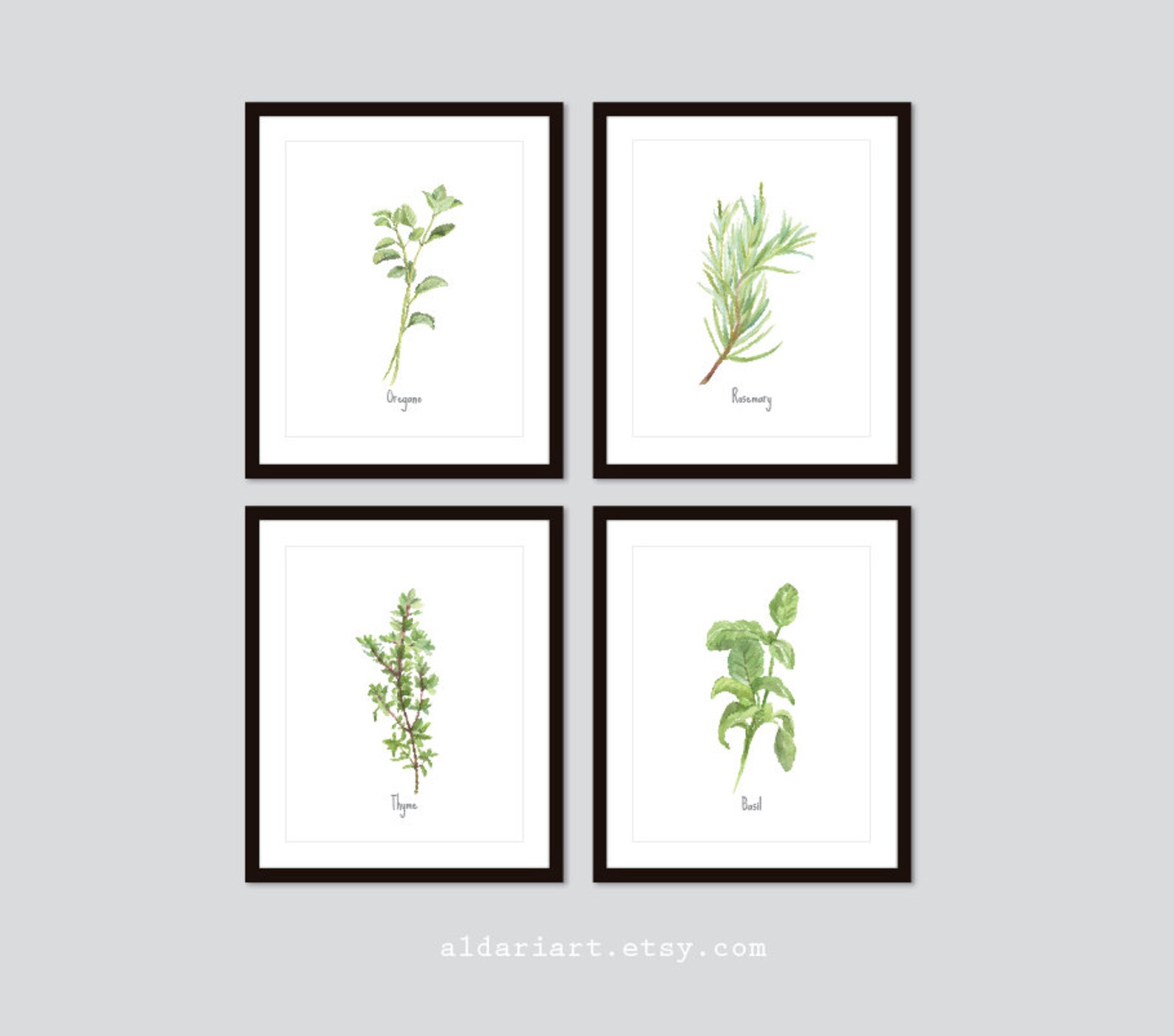 Culinary Herbs Art Prints - Kitchen Herbs Wall Art - Oregano Basil ...
