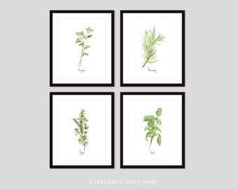 Culinary Herbs Art Prints - Kitchen Herbs Wall Art - Oregano Basil Thyme Rosemary Prints - Choose From 10 Herbs - Aldari Art