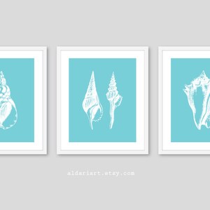 May include: Three framed art prints featuring white seashell illustrations on a light blue background. The prints are in white frames. The website address aldariart.etsy.com is printed at the bottom of the image.