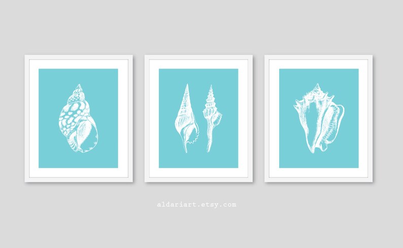 May include: Three framed art prints featuring white seashell illustrations on a light blue background. The prints are in white frames. The website address aldariart.etsy.com is printed at the bottom of the image.