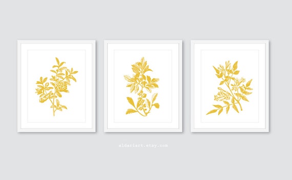 Plants Wall Art Botanical Decor Set Of 3 Prints Plant