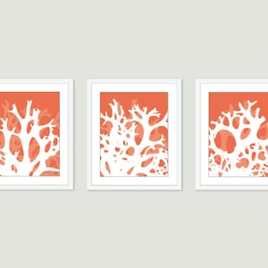 Coral Print - Coral Wall Art - Set of 3 prints 5x7 - 8x10 - Coastal Art - Coastal Decor