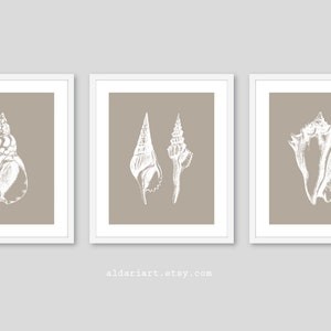 May include: Three framed art prints featuring white seashell illustrations on a taupe background. The prints are in white frames. The artwork is a coastal theme, suitable for home decor.