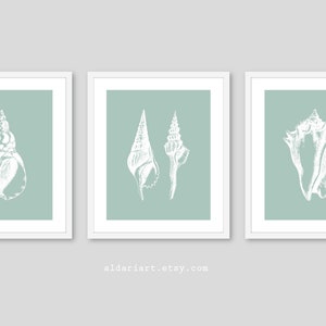 May include: Three framed art prints featuring white seashell illustrations on a muted teal background. The prints are displayed in white frames. The artwork is a minimalist coastal theme, perfect for home decor.