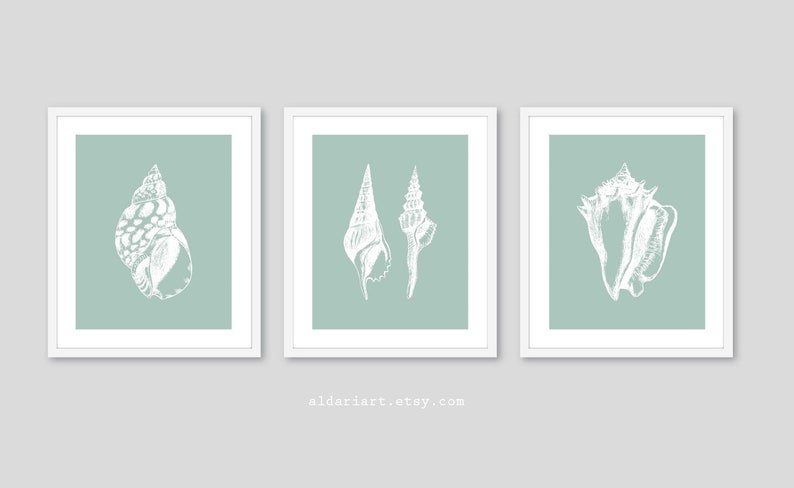 May include: Three framed art prints featuring white seashell illustrations on a muted teal background. The prints are displayed in white frames. The artwork is a minimalist coastal theme, perfect for home decor.