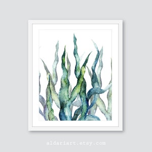 Seaweed Print, Seaweed Wall Art, Seaweed artwork, Seaweed watercolor print, coastal print, coastal wall art, aldari art, frames not included
