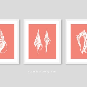 May include: Three framed art prints featuring white seashell illustrations on a coral background. The prints are in white frames. The Etsy shop name "aldariart.etsy.com" is at the bottom.