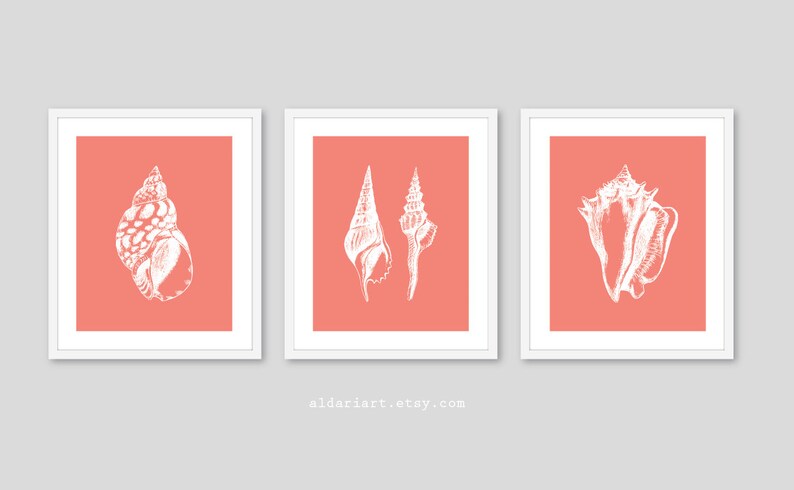 May include: Three framed art prints featuring white seashell illustrations on a coral background. The prints are in white frames. The Etsy shop name "aldariart.etsy.com" is at the bottom.