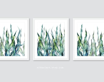 Arte de parede com algas marinhas, impressões de arte com algas marinhas, arte moderna com algas marinhas, arte de parede costeira, decoração costeira, arte de parede de casa de praia, conjunto de 3 impressões. aldari art