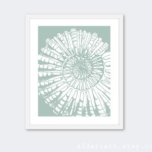 Vintage Nautilus  Art Print - Nautical Art -  Spiral Fossil Print - Seafoam Green - Sea Life - Beach House Decor