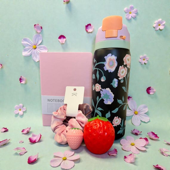Strawberry Self Care Gift Box – Water Bottle, Journal, Lip Balm, Squishy, Scrunchies
