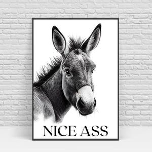 Impressão engraçada de burro para banheiro: arte de parede engraçada para banheiro (download digital)