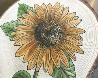 Sunflower Original Illustration on Wood Painted with Ink Yellow Flower