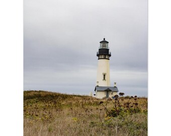 Pode incluir: Um farol branco com telhado preto ergue-se alto contra um céu nublado. O farol é cercado por grama alta e seca.