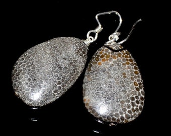 LP 1568  Smooth, Gray And Brown Bryozoa, Fossilized Aquatic Colonial Animals And Sterling Silver Fossil Earrings, OOAK