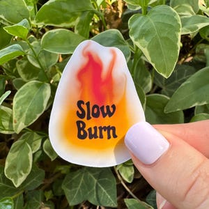 Slow Burn Sticker - Lese Aufkleber, Romanze Aufkleber, Romantasy Aufkleber, Kindle Aufkleber, Laptop Aufkleber, Bücherwurm Aufkleber, Bücherwurm Aufkleber