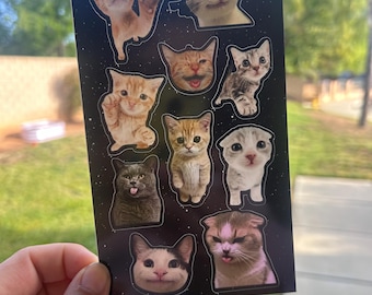 Hoja de pegatinas divertidas de gatos / Calcomanías de vinilo de gatos con memes para cuadernos, computadoras portátiles y botellas de agua.