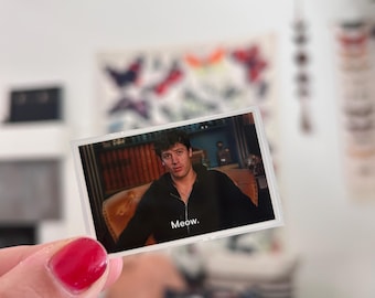 Miau. Pegatina de meme de traidores / Calcomanía de reacción de reality show / Pegatina divertida de Rob para diarios y portátiles
