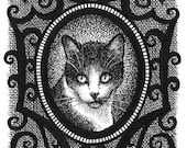 Artículos de esta tienda