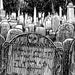 Liz reviewed Death's Head Cemetery, Art Print