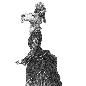 Fancy Camel, Animal Art Print