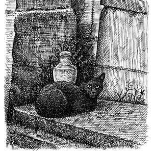 Cemetery Cat, Art Print