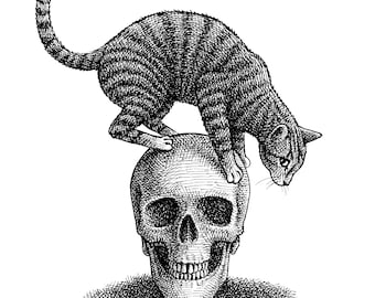 May include: A black and white line drawing of a cat sitting on top of a human skull. The cat is looking down at the skull.