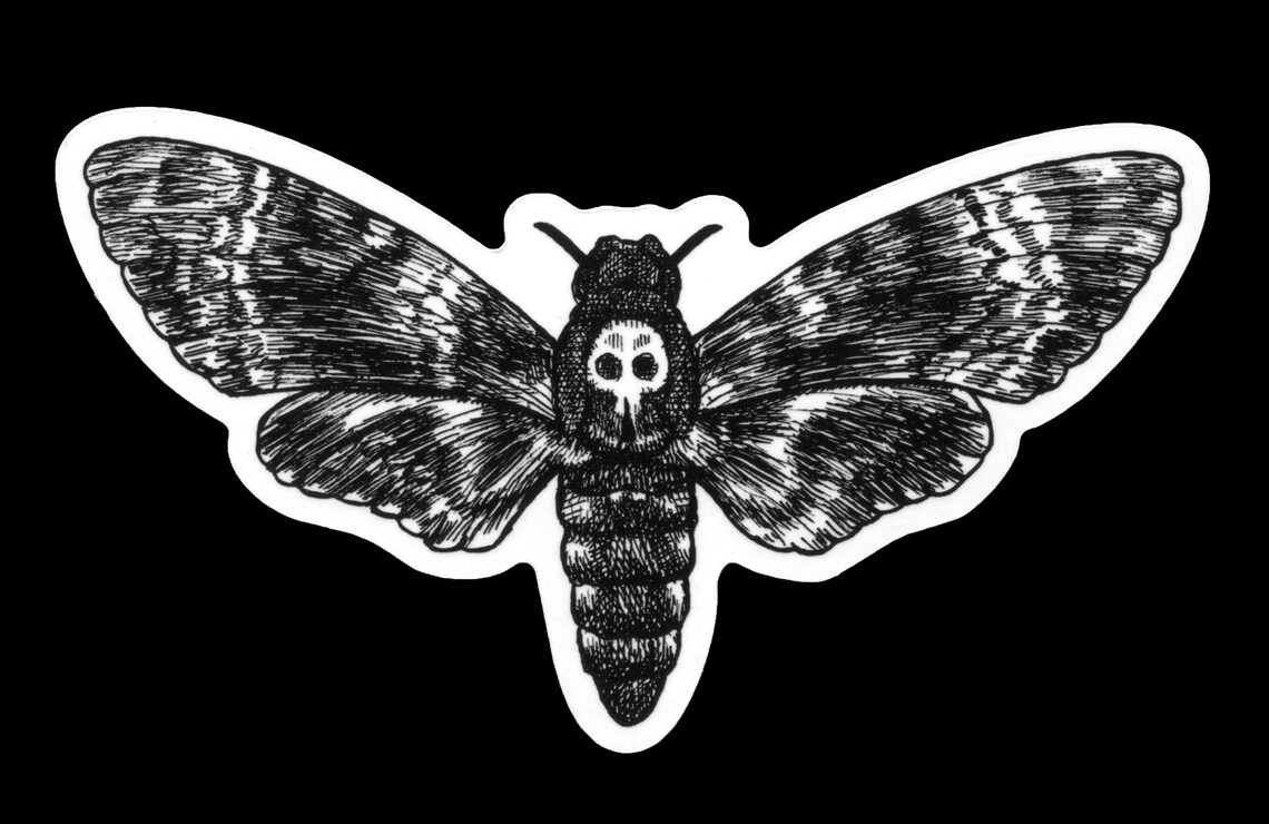 Death's-head Moth Art Print - Etsy