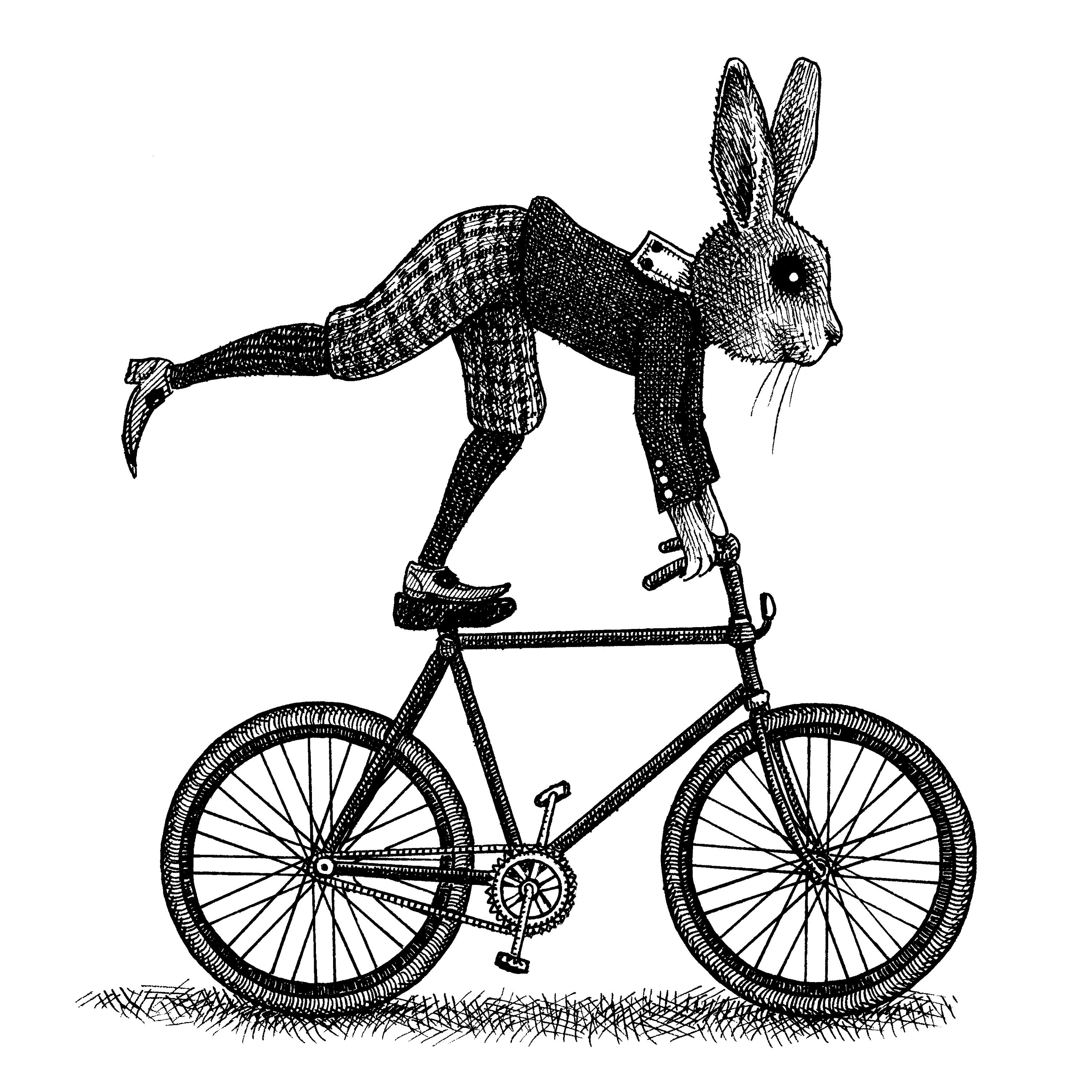 トランプ BICYCLE THE WHITE RABBIT Bicycle White Rabbit Playing
