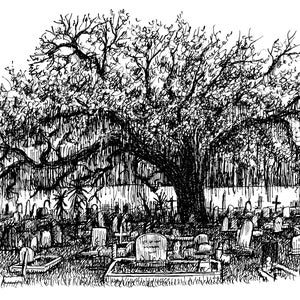 Graveyard Oak, Art Print