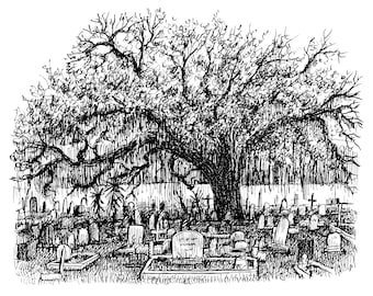 May include: A black and white pen and ink drawing of a large tree in a cemetery. The tree is in the centre of the image and its branches spread out over the surrounding headstones. The headstones are all different shapes and sizes.