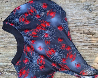 Schlupfmütze Spinne