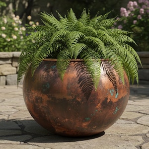 Puede incluir: Una gran maceta redonda de cobre con una pátina envejecida. Está llena de exuberantes helechos verdes, creando un contraste llamativo. La maceta de cobre se encuentra sobre un patio de piedra, sugiriendo un entorno al aire libre. El aspecto general es rústico y natural. Diámetro: aprox. 76 cm.