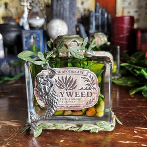 Gillyweed Potion | Seaweed in a Bottle | Decorative Fantasy Witchy Collectible | Swirling Elixir