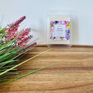 Mango Coconut Wax Melt Scented Soy Wax Gifts 2oz| Minimalistic Handmade Warm Cozy Relaxing Gift