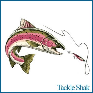 May include: A colorful illustration of a trout jumping out of the water with its mouth open, attempting to catch a lure. The lure is a small, silver and red fishing lure with a hook. The image is titled "Tackle Shak".