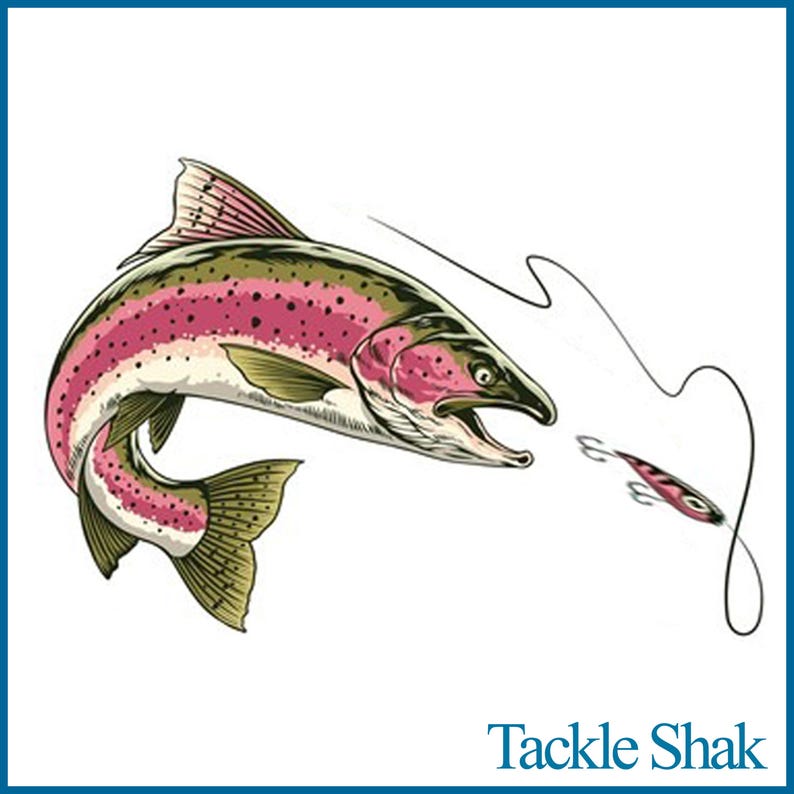 May include: A colorful illustration of a trout jumping out of the water with its mouth open, attempting to catch a lure. The lure is a small, silver and red fishing lure with a hook. The image is titled "Tackle Shak".